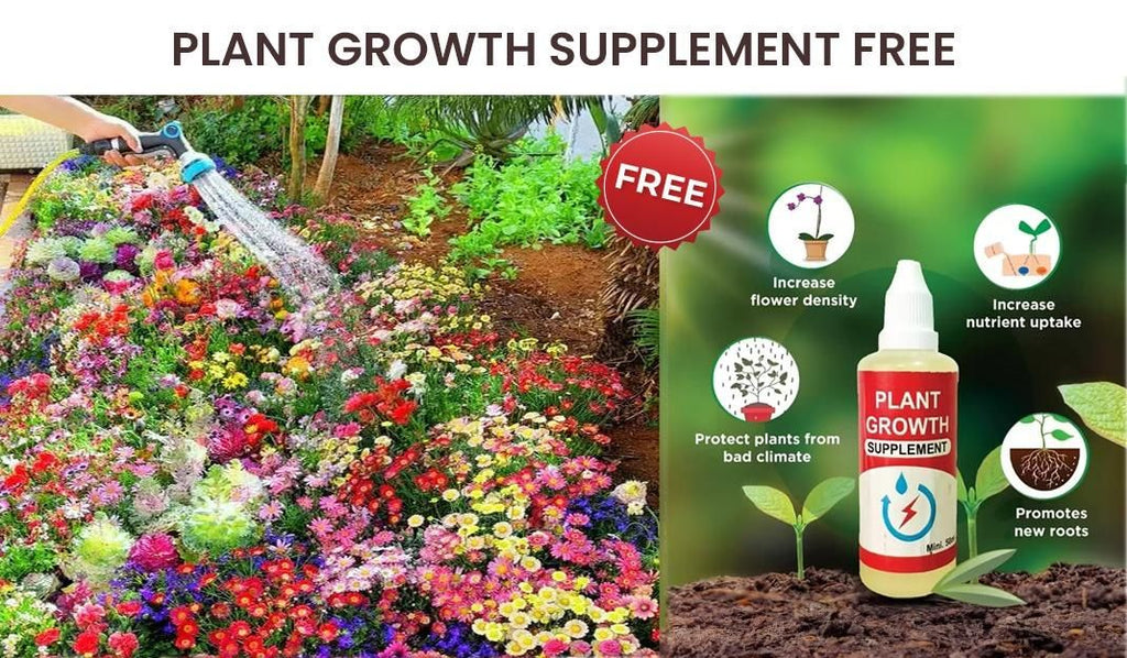 50 Varieties Flower Seeds Collection | Grow Your Own Garden