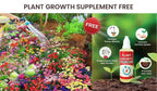 50 Varieties Flower Seeds Collection | Grow Your Own Garden