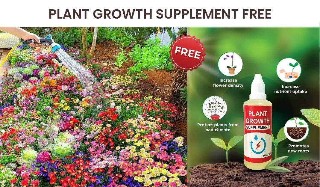 50 Varieties Flower Seeds Collection | Grow Your Own Garden