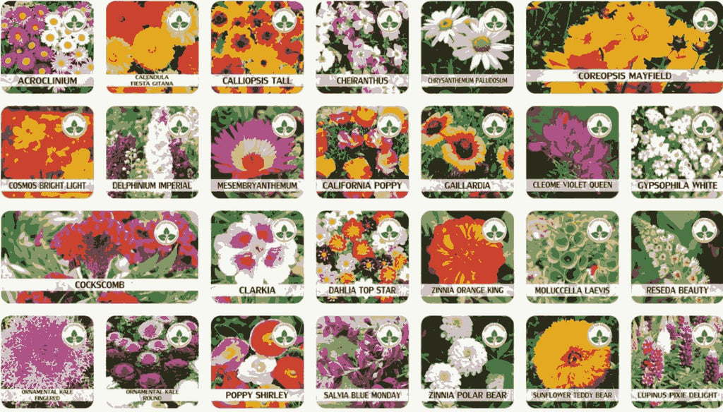 50 Varieties Flower Seeds Collection | Grow Your Own Garden