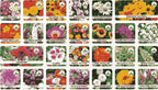 50 Varieties Flower Seeds Collection | Grow Your Own Garden