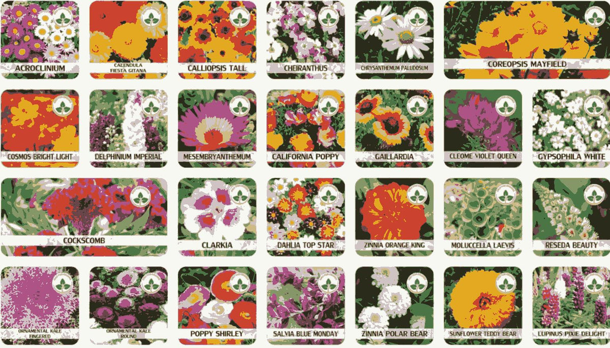 50 Varieties Flower Seeds Collection | Grow Your Own Garden