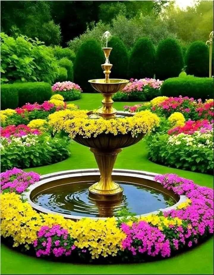 50 Varieties Flower Seeds Collection | Grow Your Own Garden