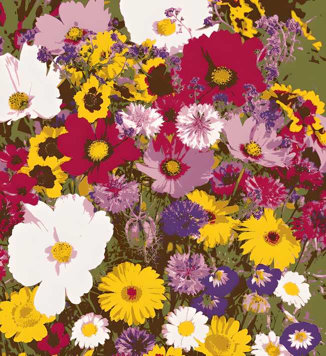 50 Varieties Flower Seeds Collection | Grow Your Own Garden